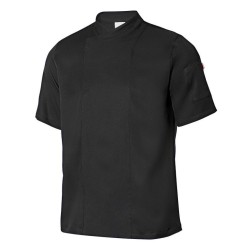 catalogo_405209_00_1.jpg