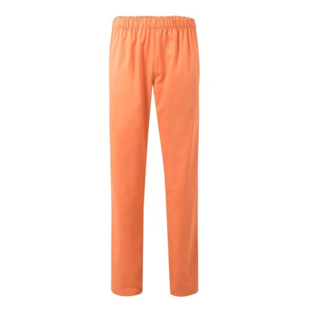 catalogo_333_22_1.jpg