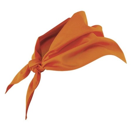 catalogo_404003_16_1.jpg