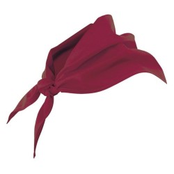 catalogo_404003_18_1.jpg
