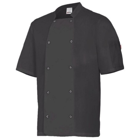 catalogo_405205_00_1.jpg