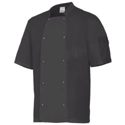 catalogo_405205_00_1.jpg