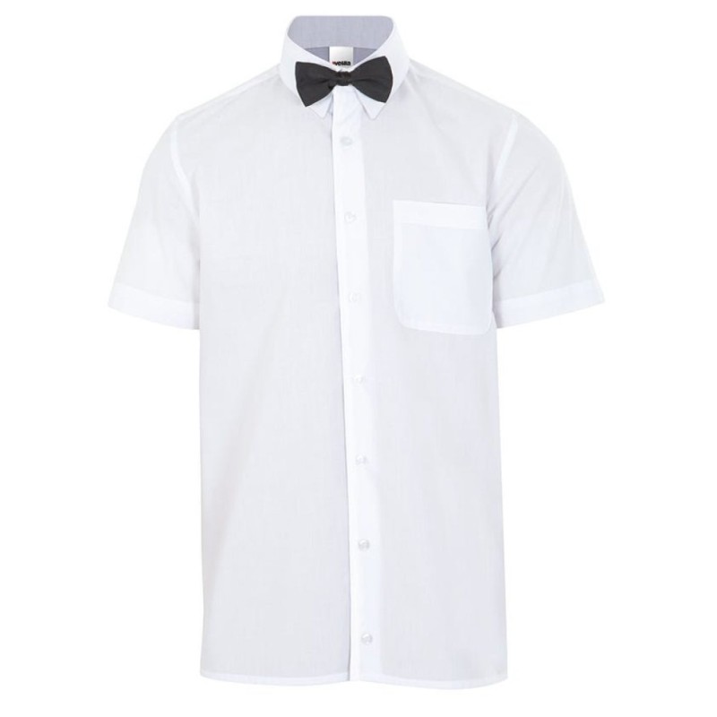 catalogo_56_00_1.jpg