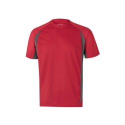 catalogo_105501_12_08_1.jpg